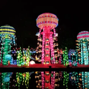 Festival Luzes da Cidade