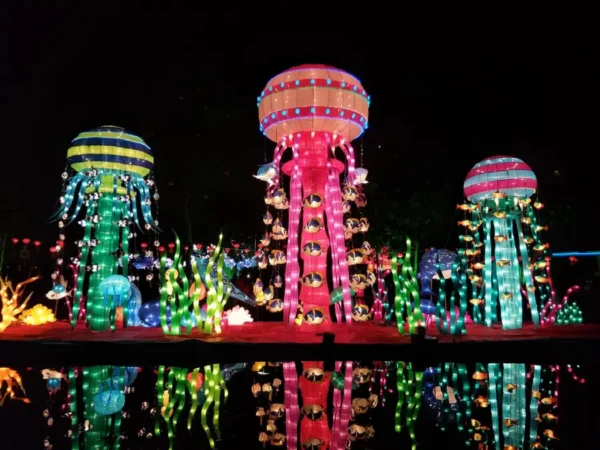 Festival Luzes da Cidade