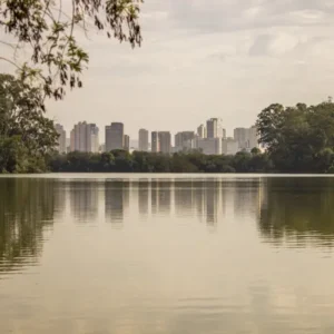 City Tour na Cidade de São Paulo