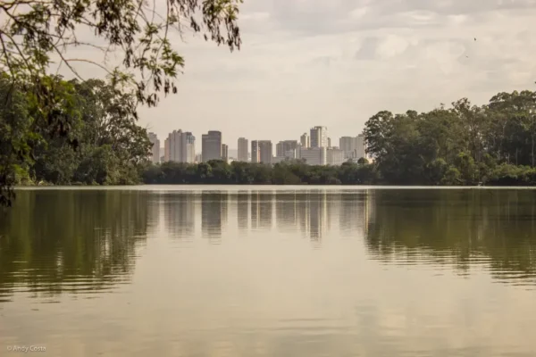 City Tour na Cidade de São Paulo