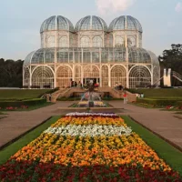 01 jd botanico